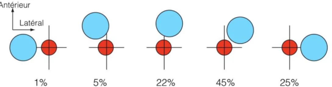 Figure 1. Position relative de la veine jugulaire interne et de l’artère carotide.  