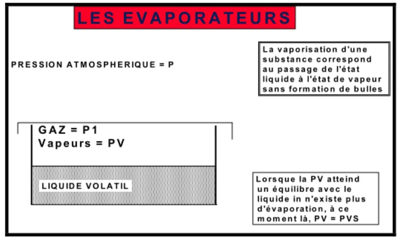 Figure 4 : La pression de vapeur saturante 