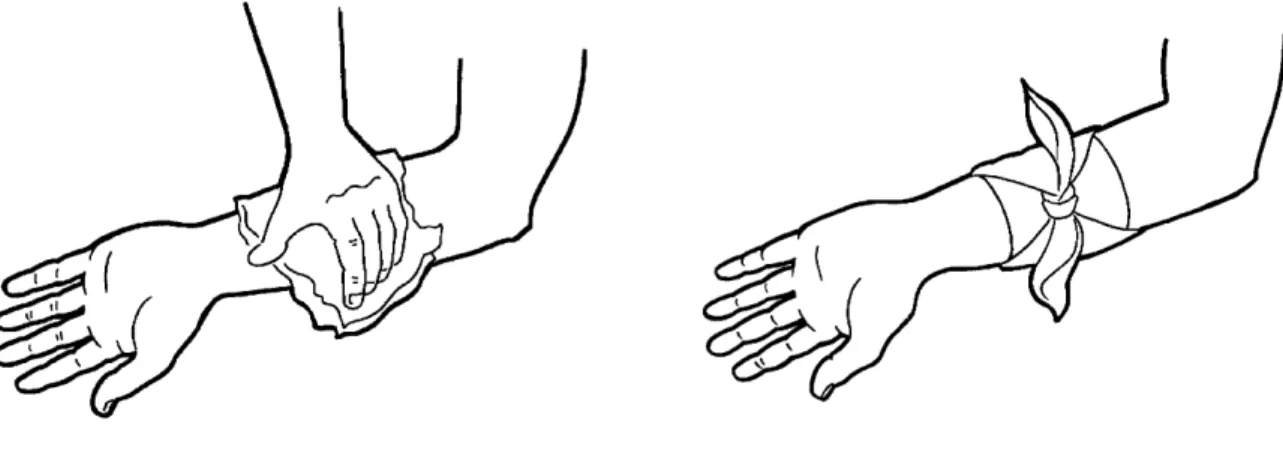 Figure 4.2 : Le tampon relais
