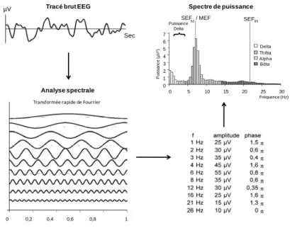 Figure 2 - Décomposition d’un signal EEG d’une seconde en sinusoïde grâce à la transformée rapide de  Fourier
