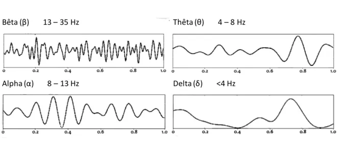 Figure 3 – Les différents rythmes d’ondes composant l’EEG 