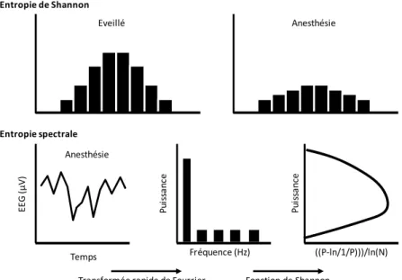 Figure 4 - Représentation schématique de l’entropie de Shannon, et spectrale appliquée à l’EEG