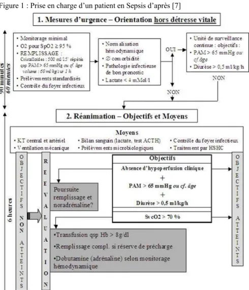 Figure 1 : Prise en charge d’un patient en Sepsis d’après [7] 