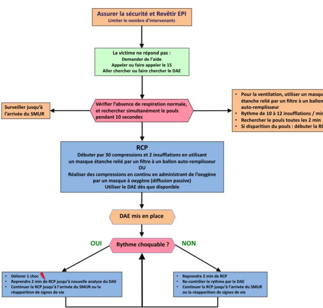 Figure 1 : RCP de base pour les secouristes  
