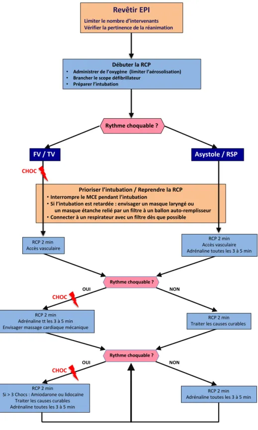 Figure 2 : RCP spécialisée pour les équipes SMUR 