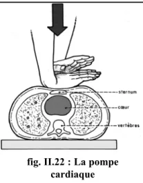 fig. II.22 : La pompe  cardiaque