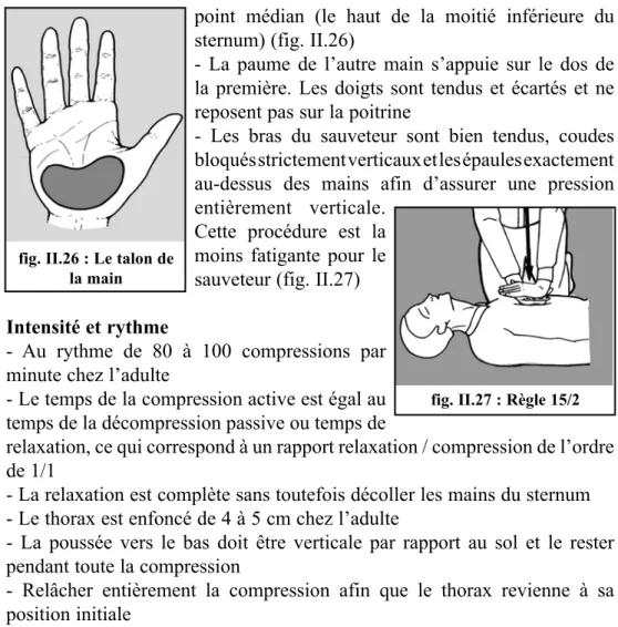 fig. II.26 : Le talon de  la main