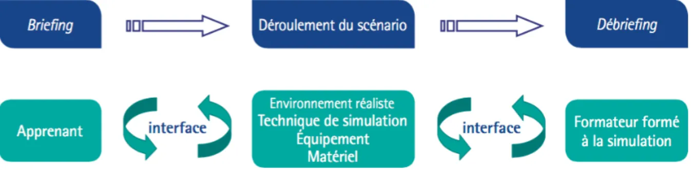 Illustration 8 : Etapes d'une simulation - D'après HAS 