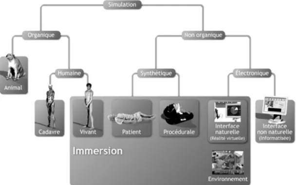 Illustration 9 : Classification de la simulation - D'après Chiniara 