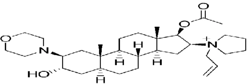 Figure 1 : Molécule de rocuronium 