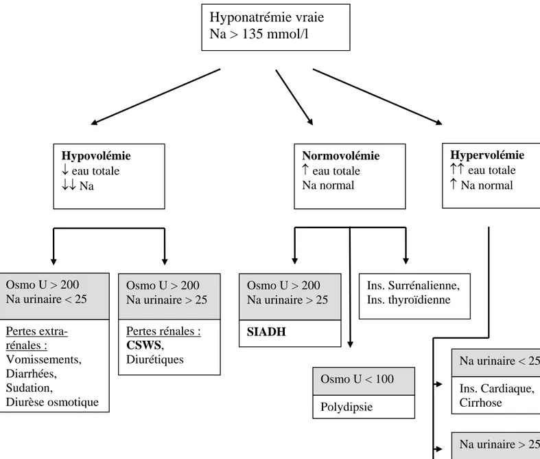 Figure 1 : Classification des hyponatrémies [14,15]  Hyponatrémie vraie  Na &gt; 135 mmol/l  Hypovolémie  ↓ eau totale  ↓↓ Na  Normovolémie ↑ eau totale Na normal 