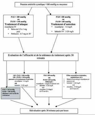 Figure 1.  Algorithme de prescription du traitement antihypertenseur [10].