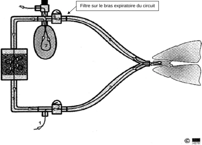 Figure 2.  Schéma du circuit respiratoire avec filtre sur le bras expiratoire  