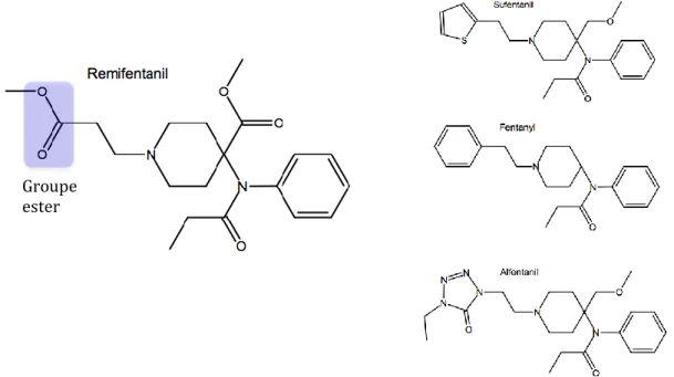 Figure 1. Structure du rémifentanil  en comparaison avec d’autres opioïdes  
