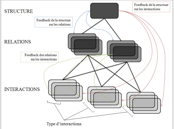 Figure 1  : Représentation des liens entre interactions, relations et structure sociale, d’après  Hinde (1976)