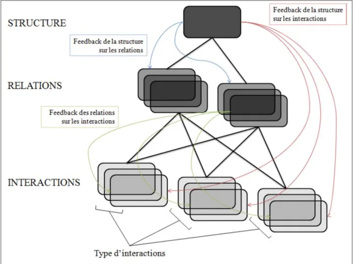 Figure  1  :  Représentation  des  liens  entre  interactions,  relations  et  structure  sociale,  d’après  Hinde (1976)