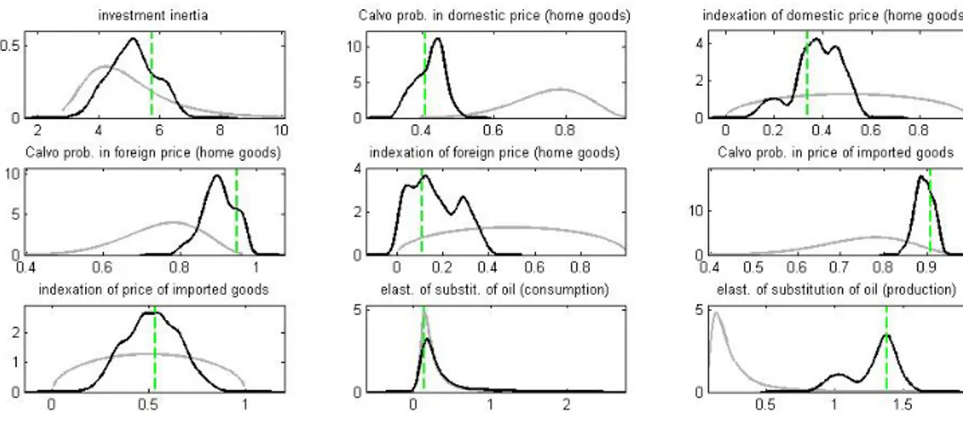 Figure 3.3: Estimated parameters' prior and posterior distributions 