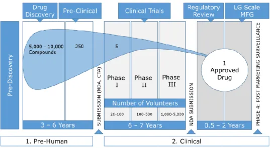 Figure 1 – Phases of R&amp;D (Pharmaceutical Research and Manufacturers of America, 2007) 