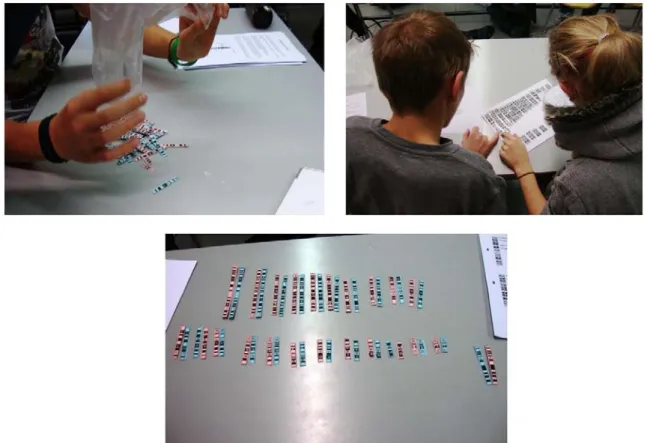 Figure 2 : les couples d’élèves, après avoir mélange la moitié de « leur » caryotype avec celui du  copain/copine construisent le caryotype de « leur » enfant
