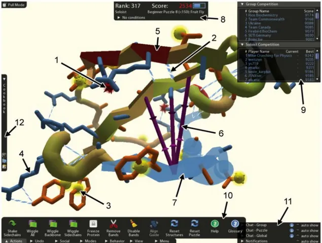 Fig. 1. Capture d’écran de Foldit illustrant les outils et la représentation de la protéine