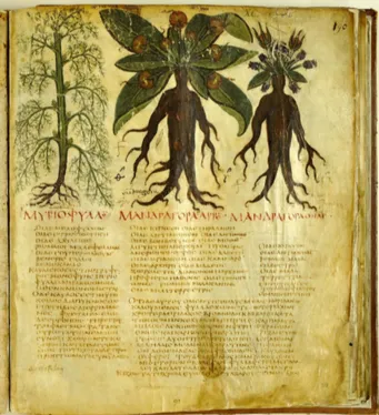 Figure 14 : Codex Neapolitanus, folio 90.  Copyright 2011 - Biblioteca Nazionale di Napoli 