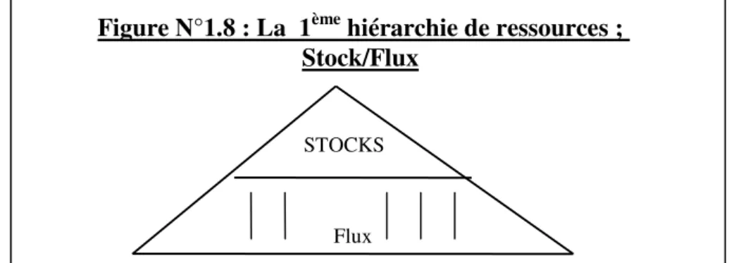 Figure N°1.8 : La  1 ème  hiérarchie de ressources ;  Stock/Flux 