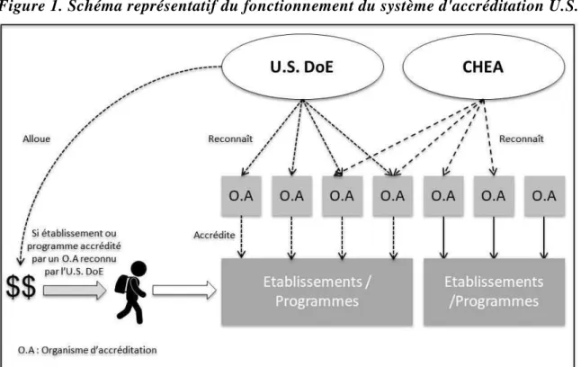 Figure 1. Schéma représentatif du fonctionnement du système d'accréditation U.S.  
