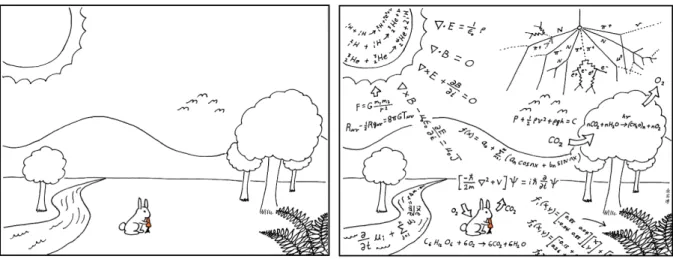 Fig. 1 – Comment les scientifiques voient le monde 5 . 