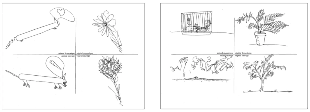 figure 7 : Planche des 4 dessins  complémentaires réalisée par 