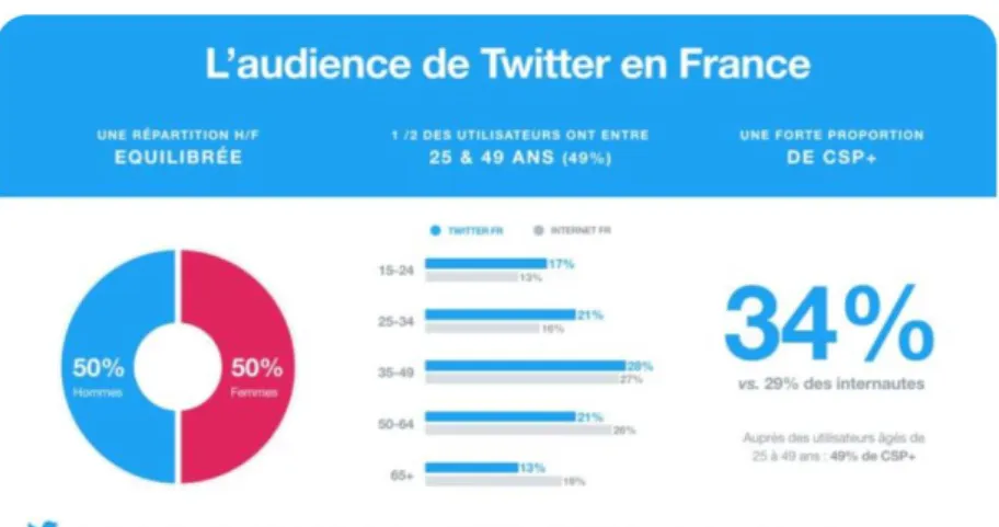 Illustration 4 : L’audience de Twitter en France.  