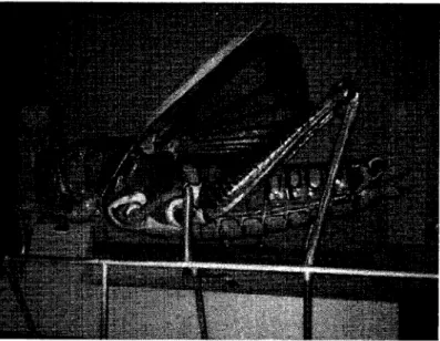 Fig 8. Un exemple d'invasion de criquets en muséologie celui du Musée des Sciences de Boston.