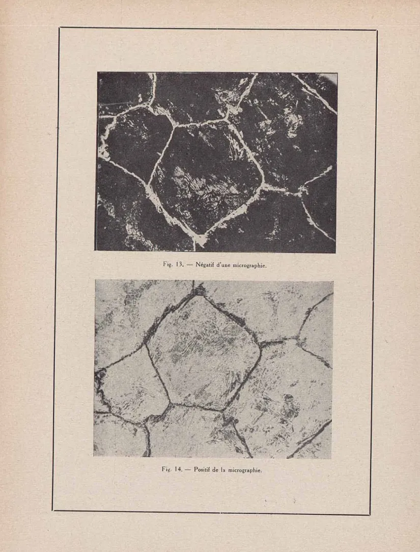 Fig.  14.  —  Positif  de  la  micrographie. 