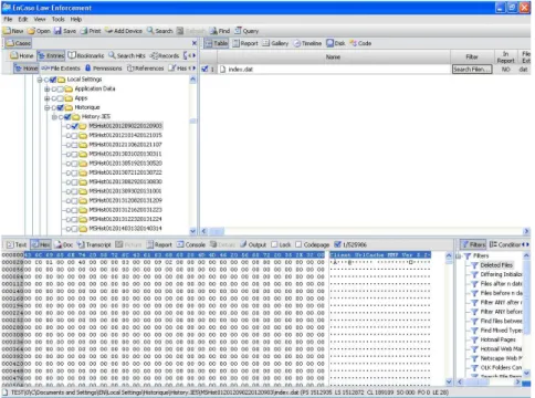 Figure 19- Fichier INDEX.DAT sous Windows XP- copie écran logiciel « Encase® Forensic  V6» 