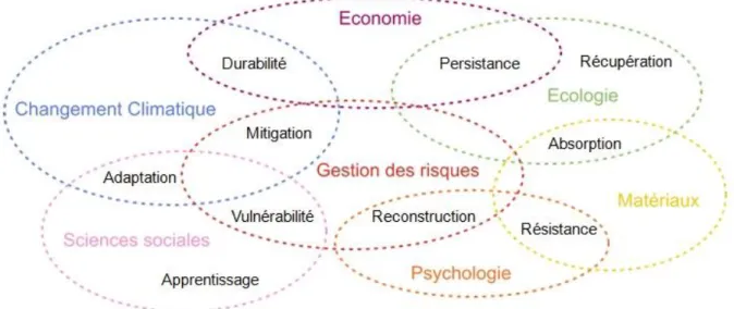 Fig. 1 : Le caractère interdisciplinaire de la résilience 