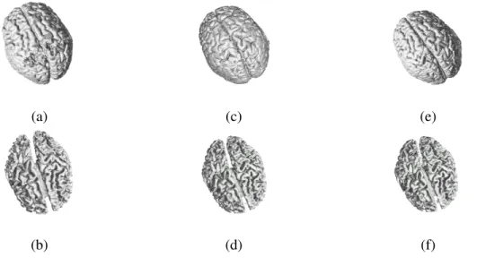 Fig. 9. Comparison of the 3D models of GM and WM surfaces from our method and from the ground truth data