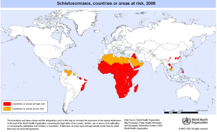 Figure 1 : Aires de distribution des schistosomiases humaines (OMS, 2009).  Pays à haut risque infectieux (rouge),  pays à faible risque infectieux (orange) 