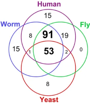 Figure  12 :  Distribution  des  212  familles  de  kinase  des  kinomes  de  levure  Saccharomyces  cerevisiae,  du  nématode 