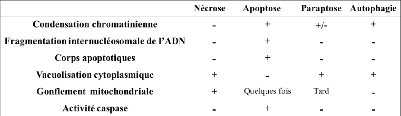 Tableau 1 : Caractéristiques des différents types de mort cellulaire (d’après Sperandio et al., 