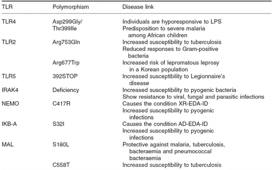Tableau 2 : Polymorphismes génétiques de la signalisation TLR associées à des infections chez l’Homme