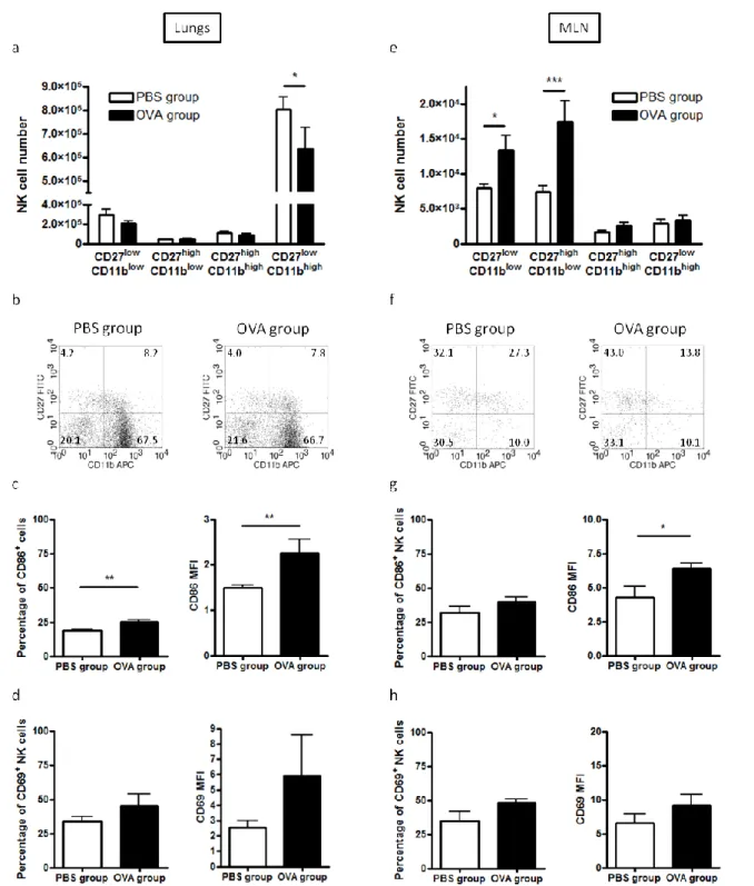 Figure 3: Effect of OVA-sensitization and OVA challenges on NK cell subsets and activation in lungs and MLN