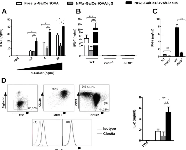 Figure  1 :  La  stimulation  in  vitro  des  cellules  iNKT  est  améliorée  lorsque  l’α- l’α-GalCer est délivré par les NP/Clec9a