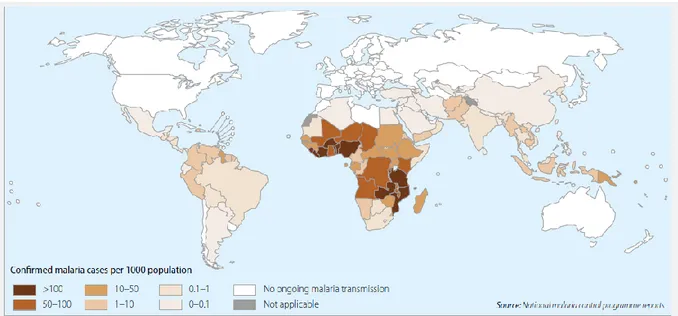 Figure 2 : Représentation géographique des zones touchées par la malaria en 2014 (image extraite (World 