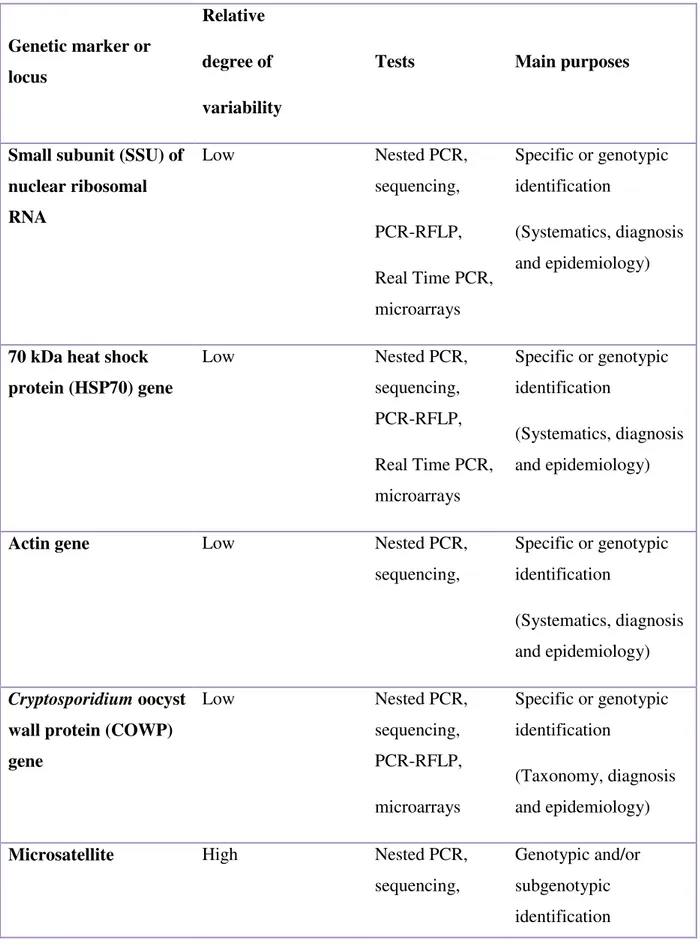 Table  3.  Selected  genetic  markers  commonly  used  for  the  specific,  genotypic  or  subgenotypic classification of species of Cryptosporidium for diagnostic, epidemiological  and population genetic applications  