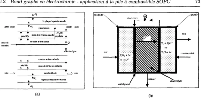 FIG.  6.2- Représentation schématique  de  la  cellule  modélisée  et principe  dee  fonctionnement  d'une  PAC 