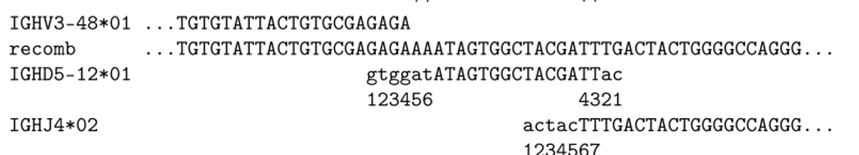 Figure 2.4 – Exemple de recombinaison VDJ sur le locus IgH, provenant d’un patient suivi à Lille