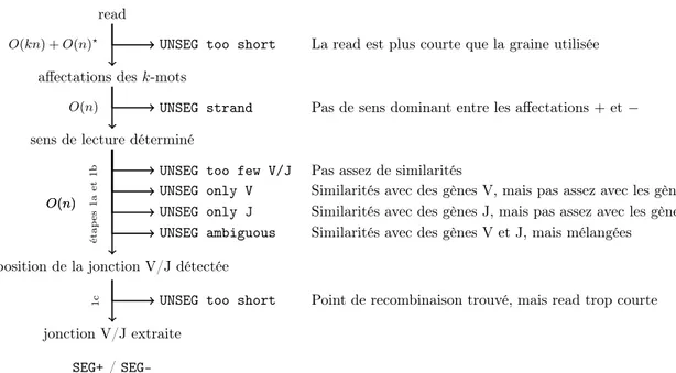 Figure 4.1 – Traitement d’une read dans Vidjil (phase 1, voir pages 22 et suivantes) et raisons de non- non-segmentation