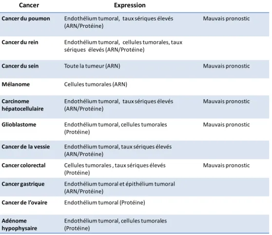 Tableau 3 : Principaux types de cancers surexprimant endocan dont certains est associé à un 