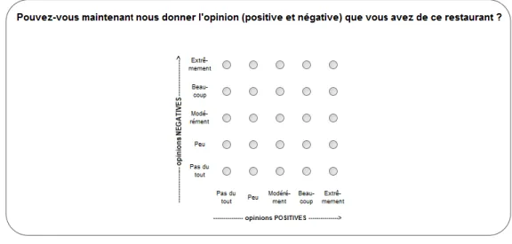 Figure 19. Item et outil de mesure utilisés pour évaluer les corpus de commentaires de  consommateurs dans la condition Evaluative Space Grid 