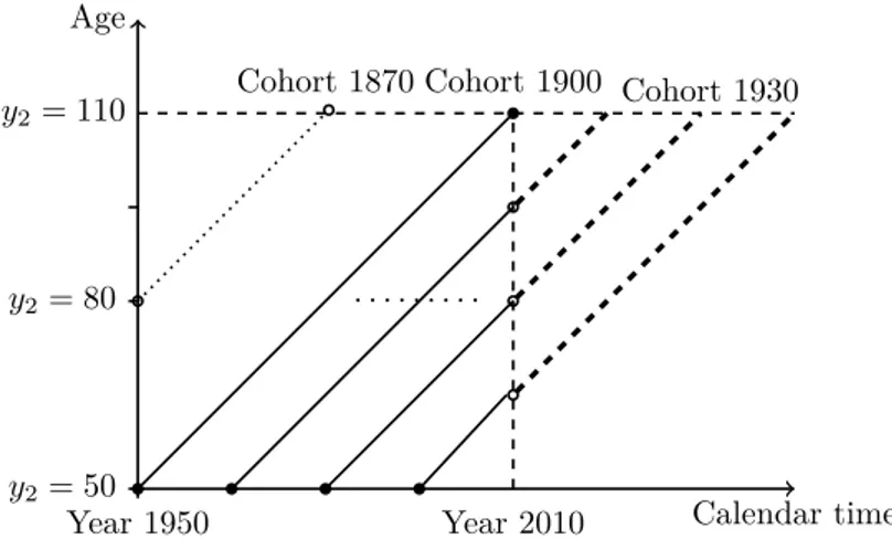 Figure III-4: Lexis diagram of cohorts and their observability. The study period ranges from year 1950 to 2010.
