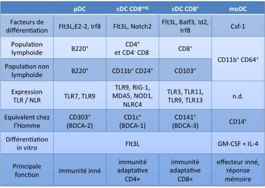 Tableau 4 : Filiation des populations de cellules dendritiques murines et humaines 